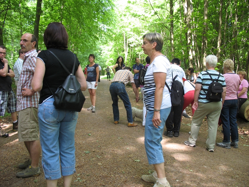 Wanderung 2011 036.jpg